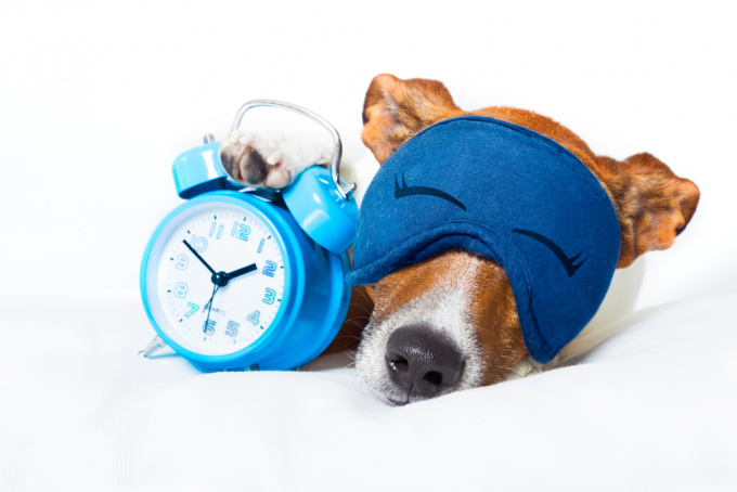 5 items to fall asleep better - alarm clock